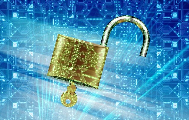 Data security_Pixabay