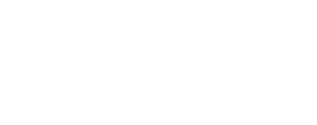 Lake Havasu City logo
